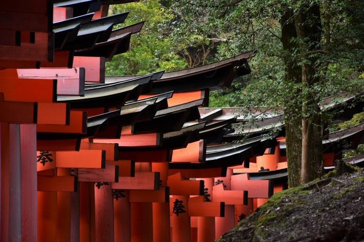 Kyoto, Japan, Fushimi-Inari temple, red torii