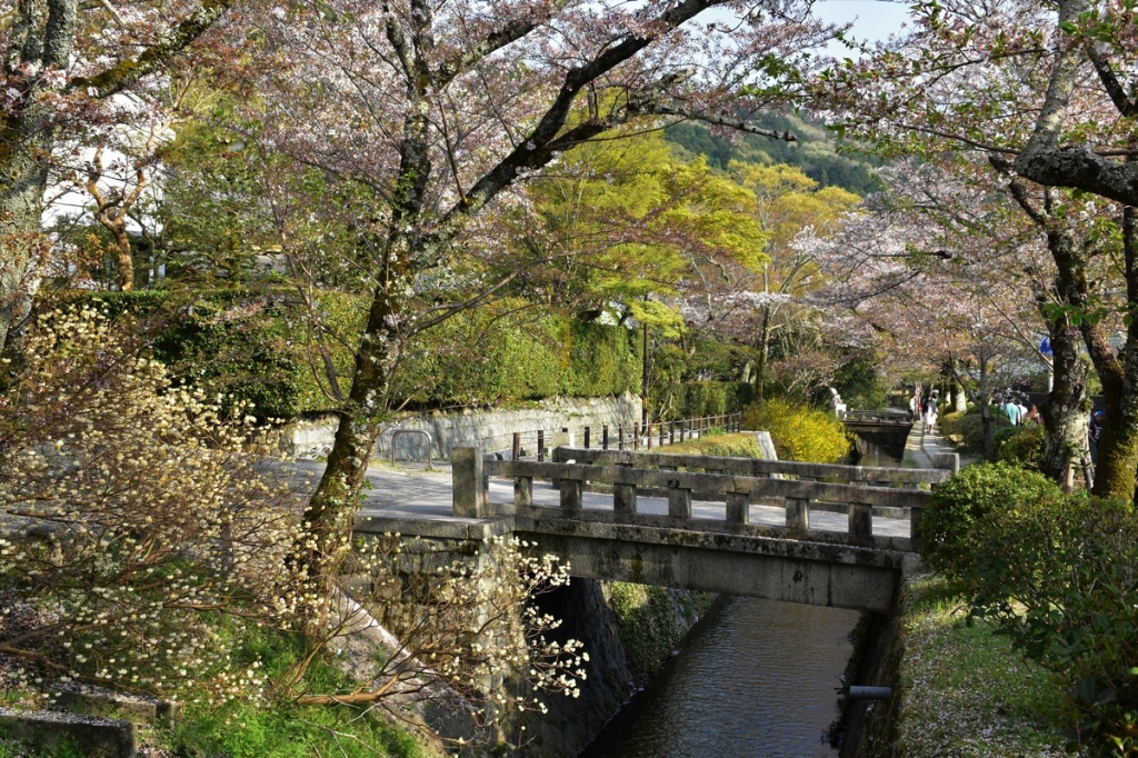 Kyoto, Japan, Philosopher's walk