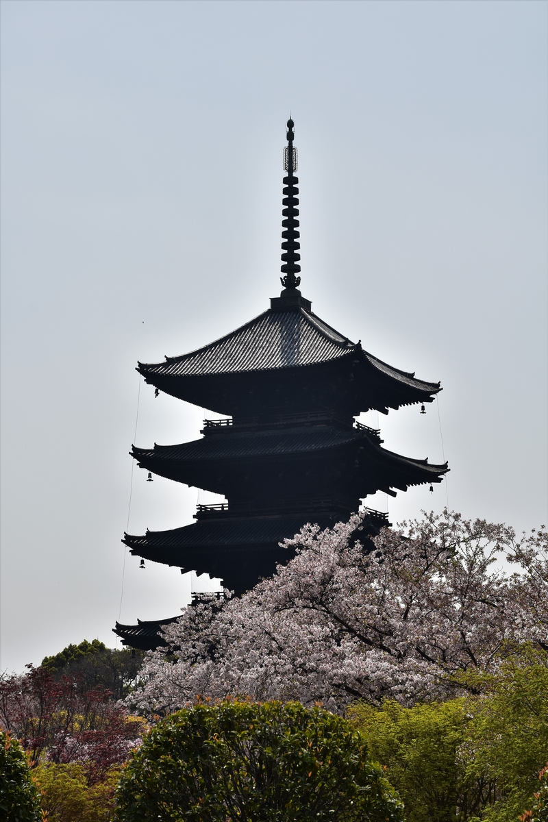 Kyoto, Japan, Toji temple, pagoda