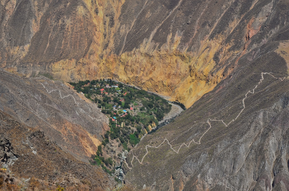 Colca Canyon, Peru, hike, oasis
