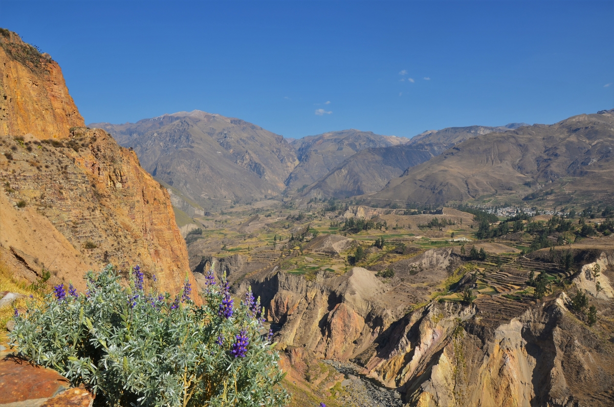 Colca Canyon, Peru, Mirador de Antahuilque