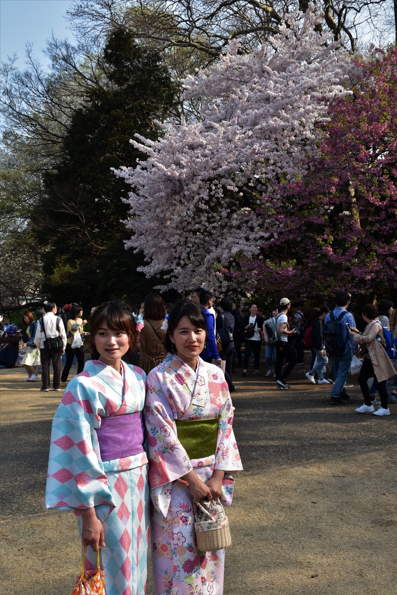 Tokyo, Shinjuku, Gyoen Park, Japan, women, kimono
