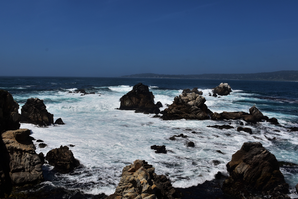 Highway One, California, USA, Point Lobos State Park, Cannery Point